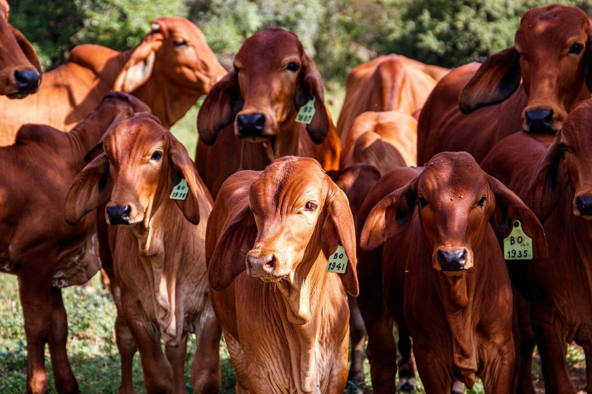 Blog demo 1